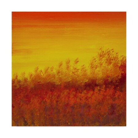 Trademark Fine Art